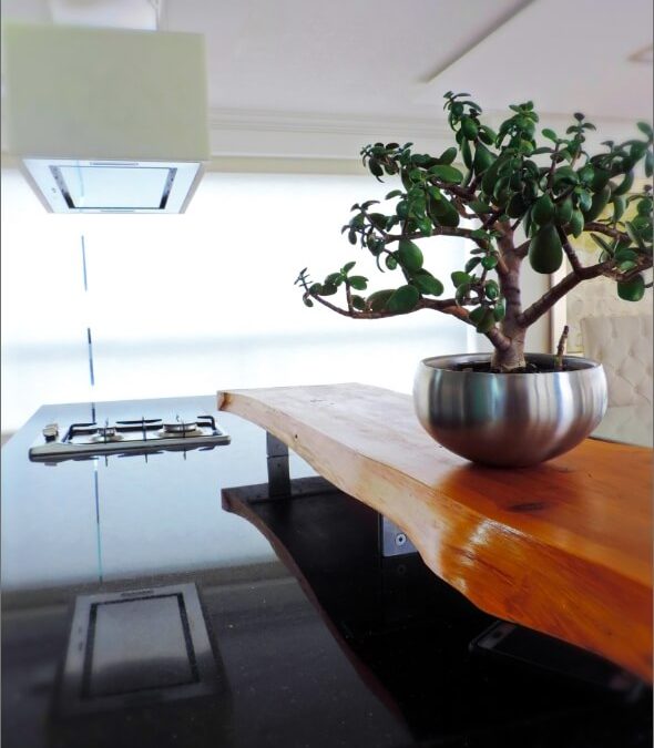 Remodelación de Cocina