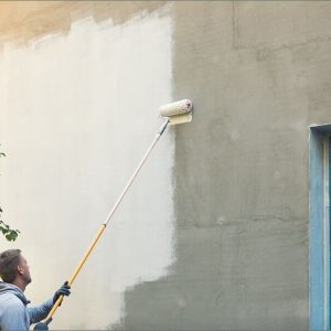 Pintural Sin Materiales Pintura de paredes exteriores (sin material) fuga
